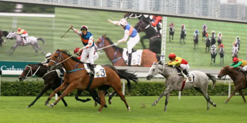 Cá cược đua ngựa tại 789Bet - Trò chơi giải trí kịch tính hàng đầu 3 Những hình thức cá cược đua ngựa phổ biến